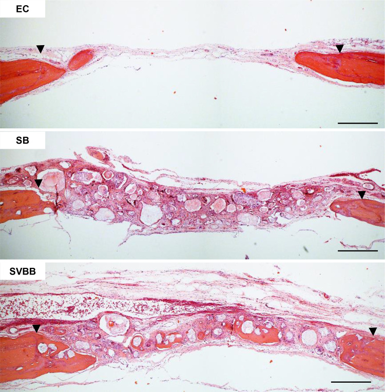 Fig. 11