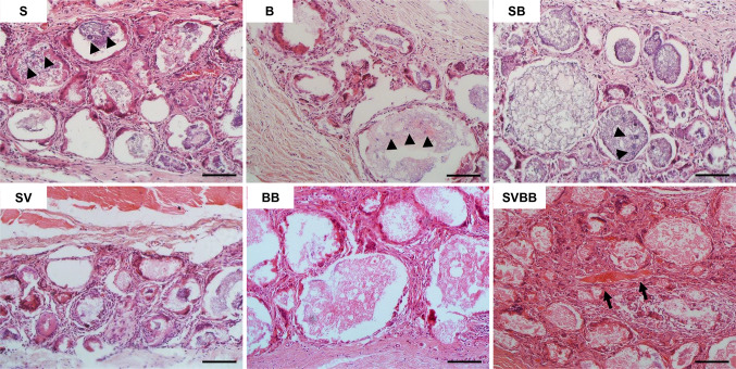 Fig. 9