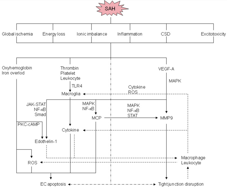 Fig. (2)