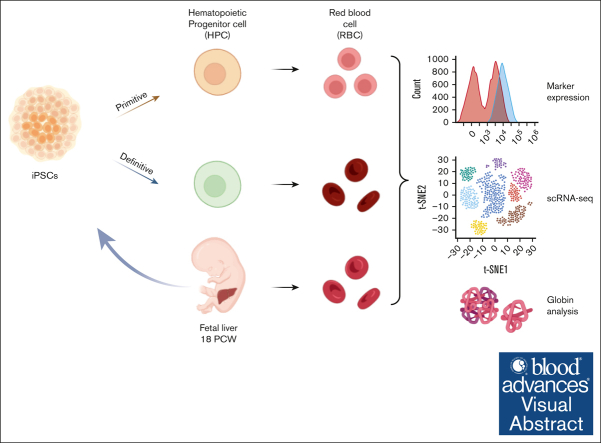 graphic file with name BLOODA_ADV-2023-011708-ga1.jpg