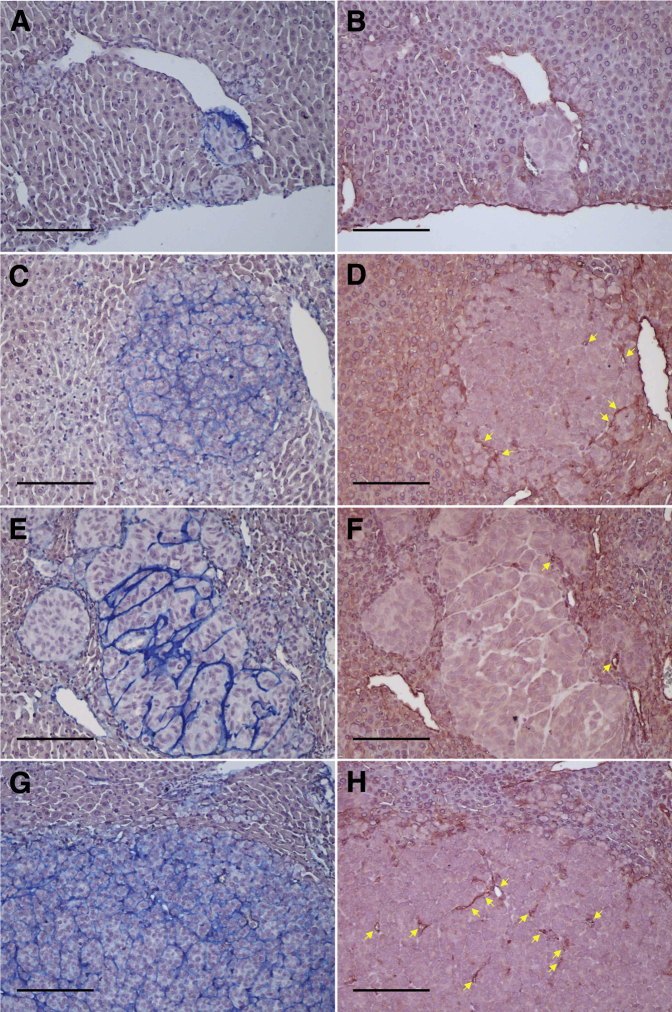 Figure 6