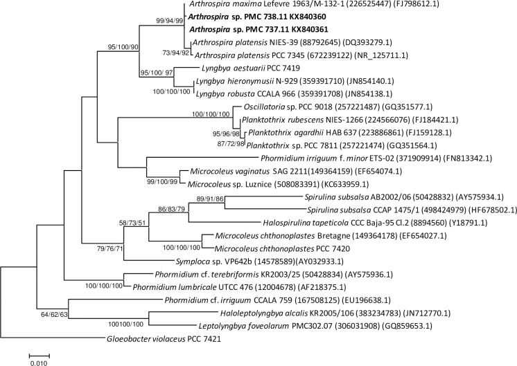 Fig 6