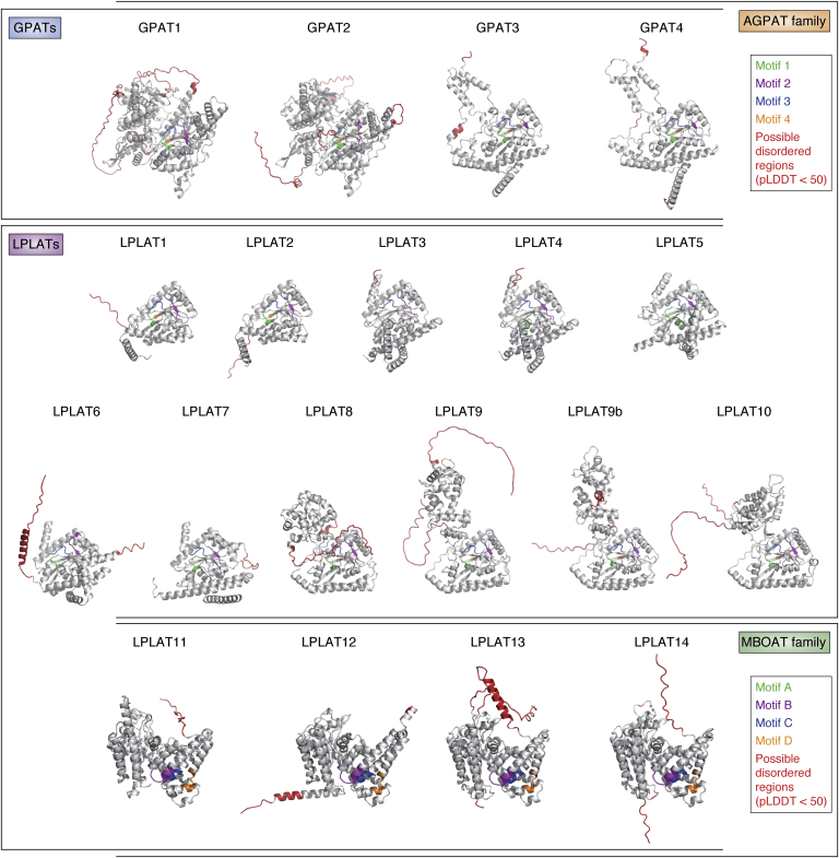 Figure 5