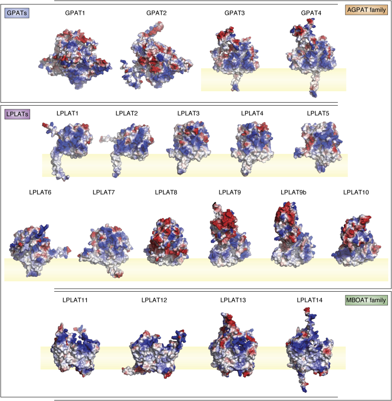 Figure 6