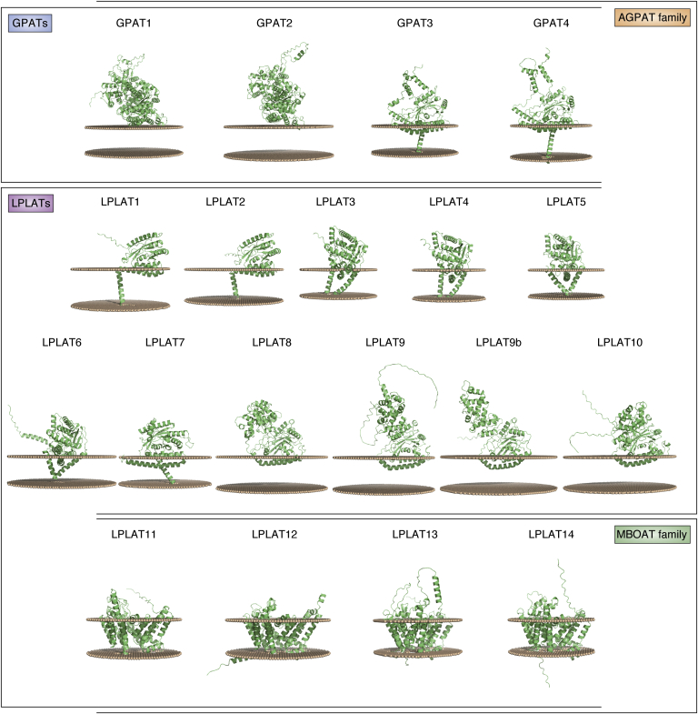 Figure 7