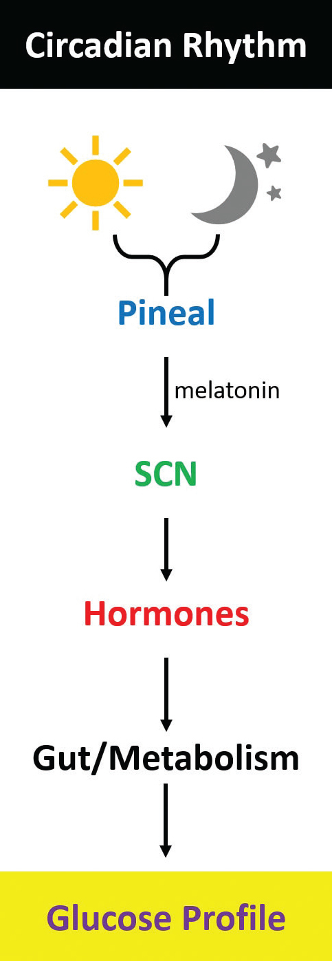 FIGURE 1.