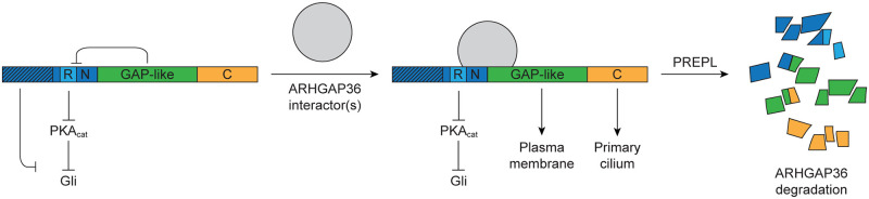 Fig 7