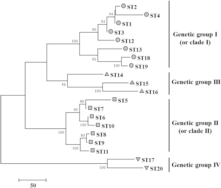 FIG 1