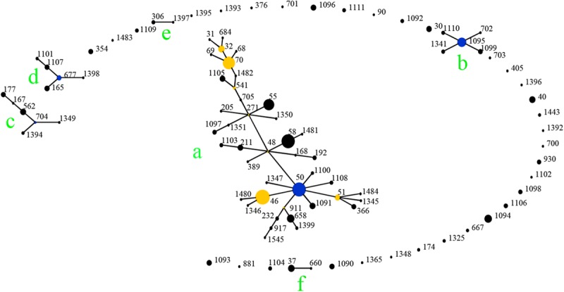 FIGURE 5