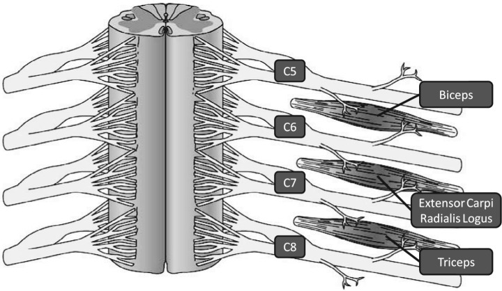 Figure 2.