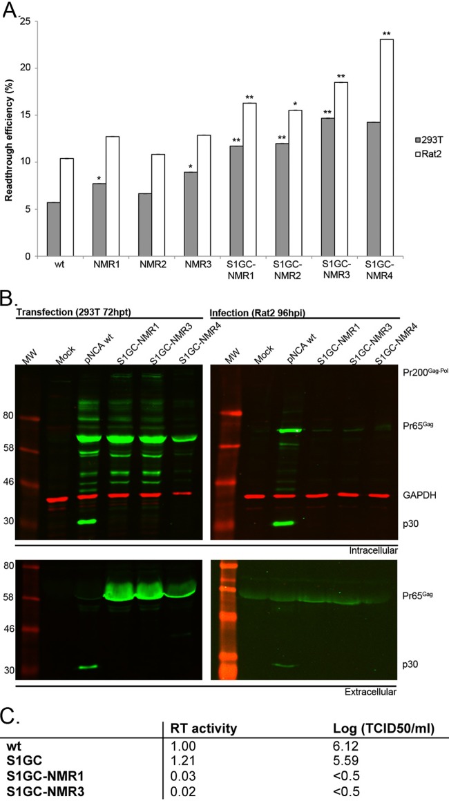 FIG 3