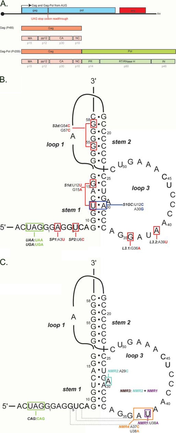 FIG 1