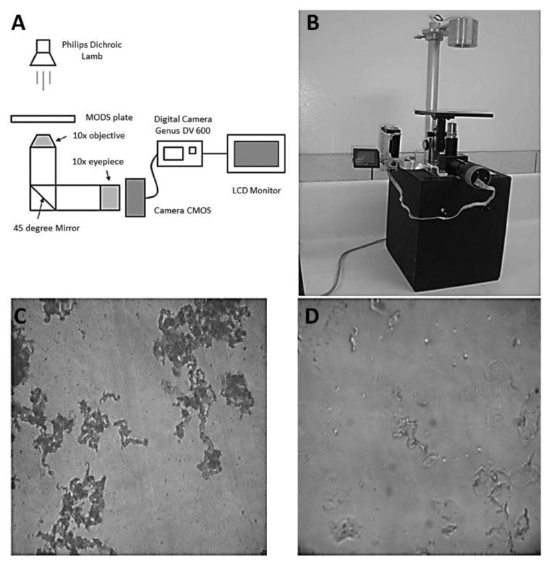 Fig. 4