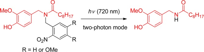 Scheme 41