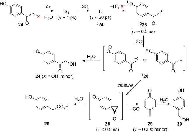 Scheme 19