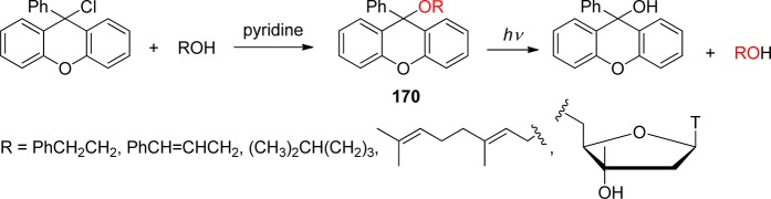 Scheme 67