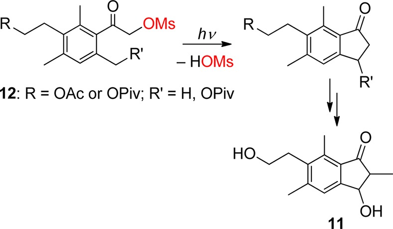 Scheme 8