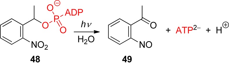 Scheme 31