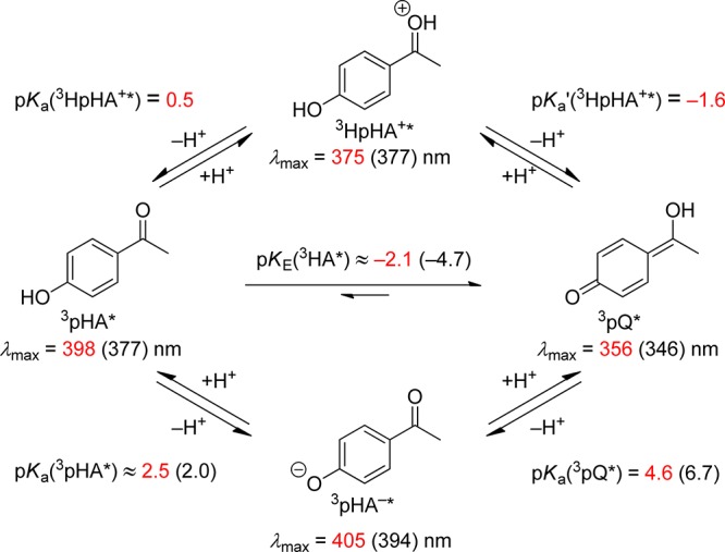 Scheme 18