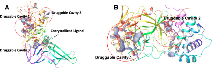 Fig. 8