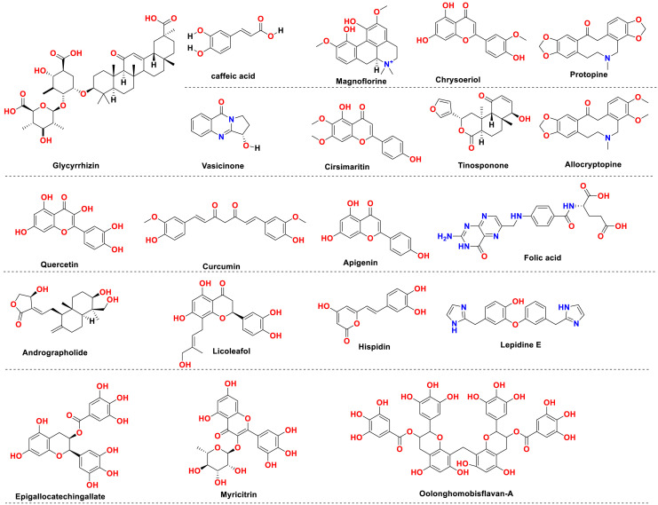 Fig. 12