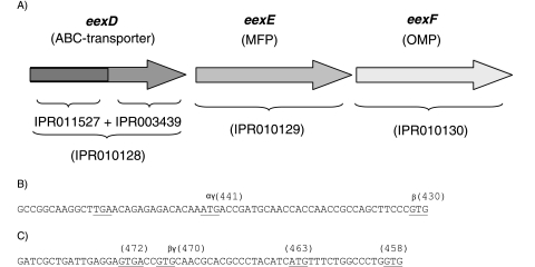 FIG. 2.