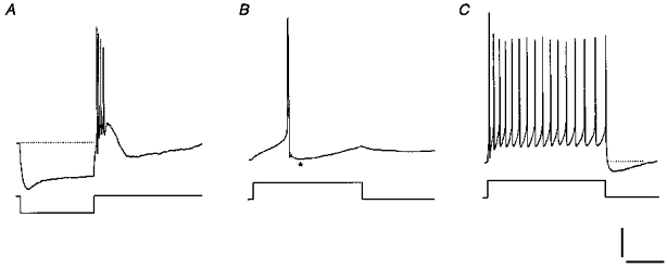 Figure 8