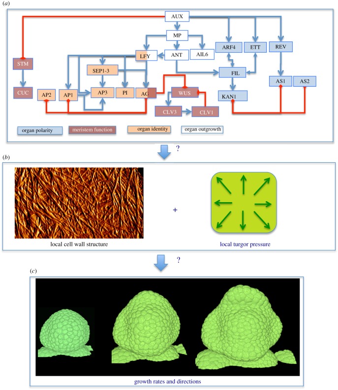 Figure 1.