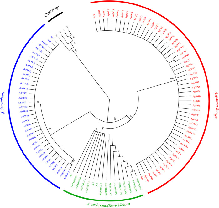 FIGURE 2