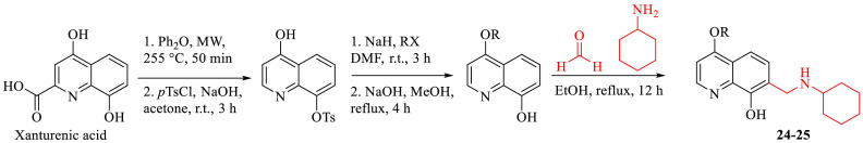 Scheme 2