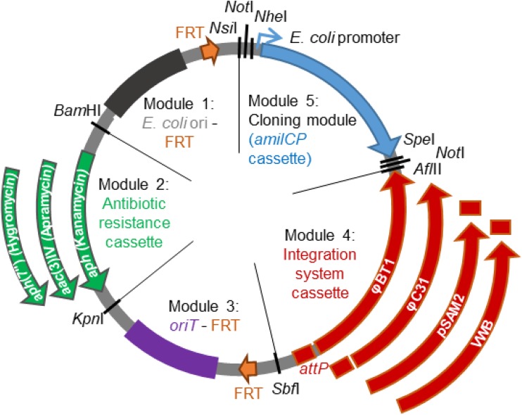 FIG 1