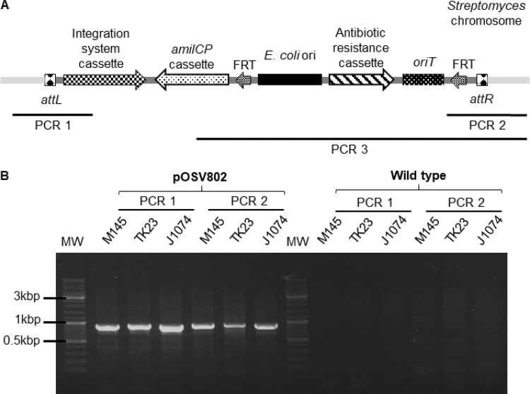 FIG 2