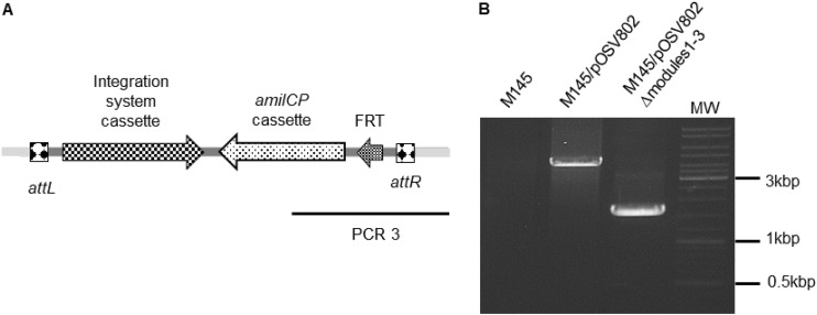 FIG 3