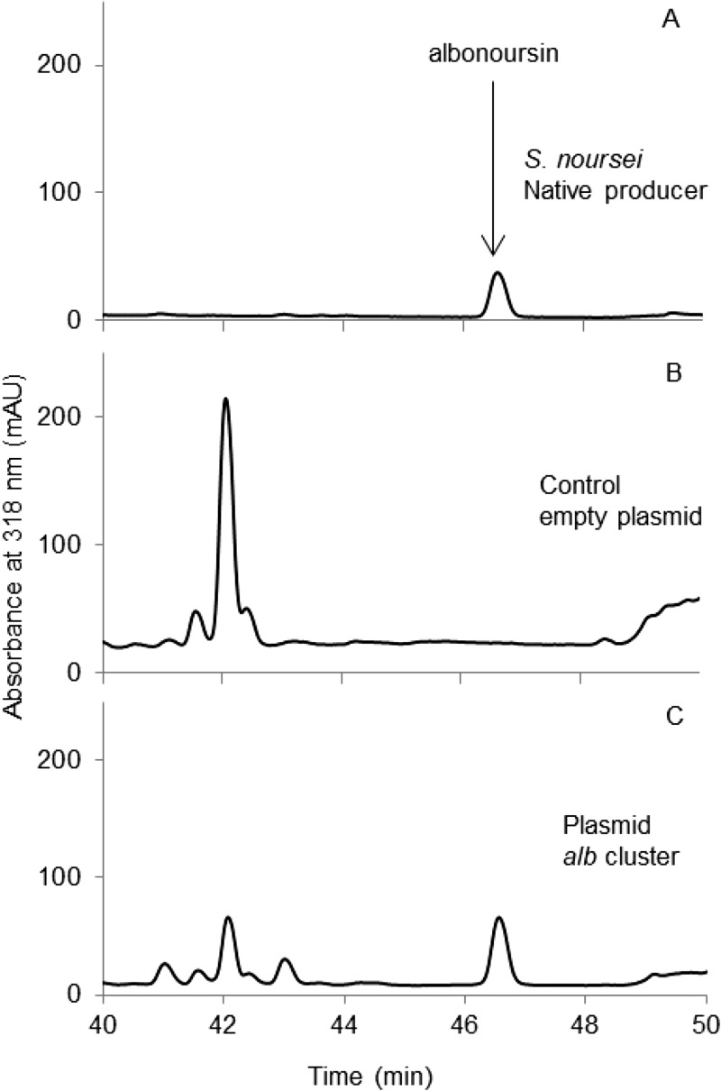 FIG 4