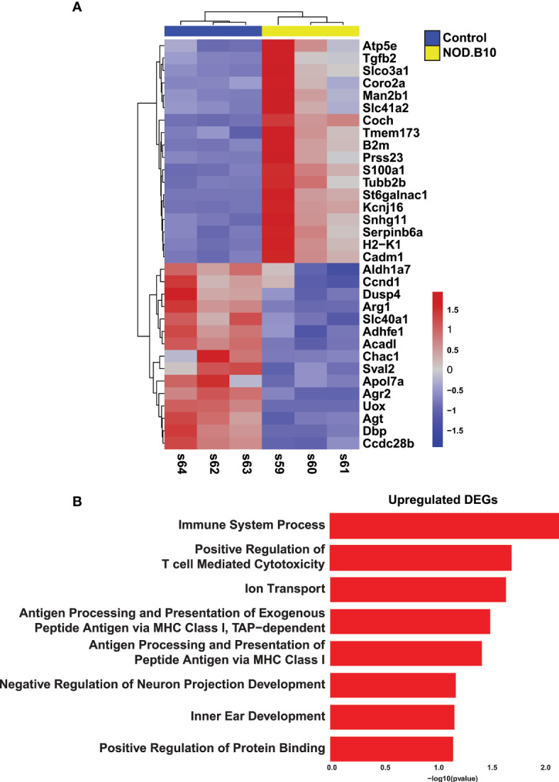 Figure 2