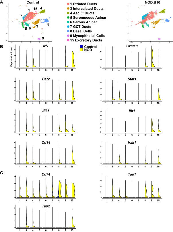 Figure 7