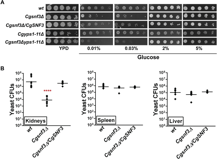 Figure 3