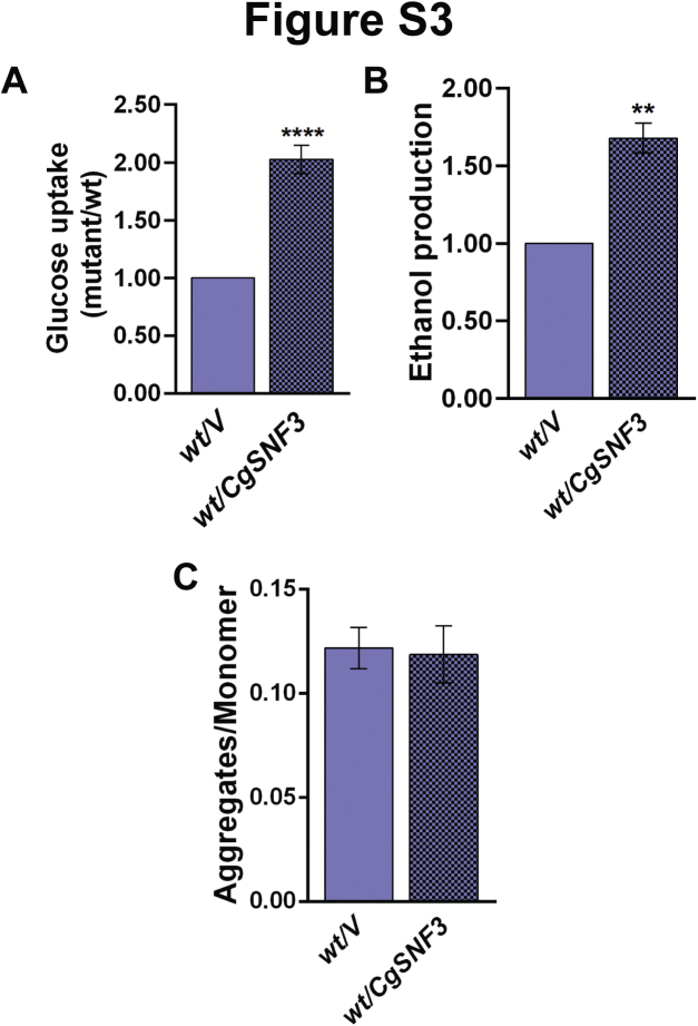 Supplemental Figure S3