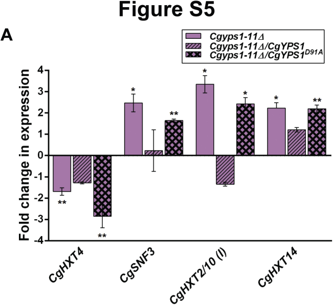 Supplemental Figure S5