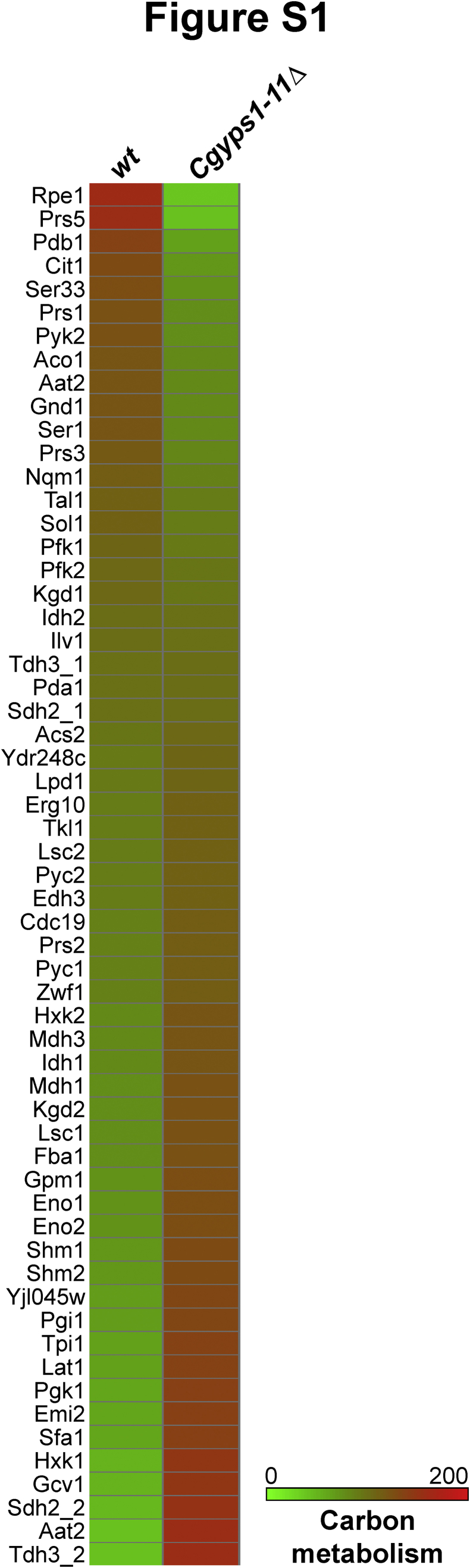 Supplemental Figure S1