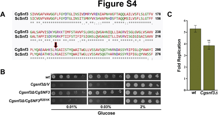 Supplemental Figure S4