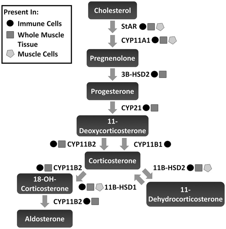 Figure 7.