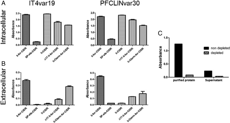 FIGURE 4.