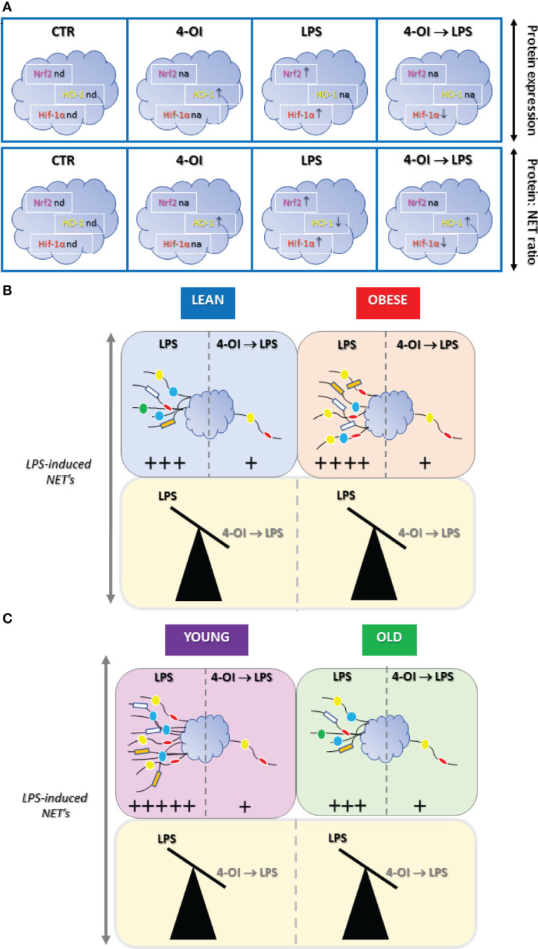 Figure 7