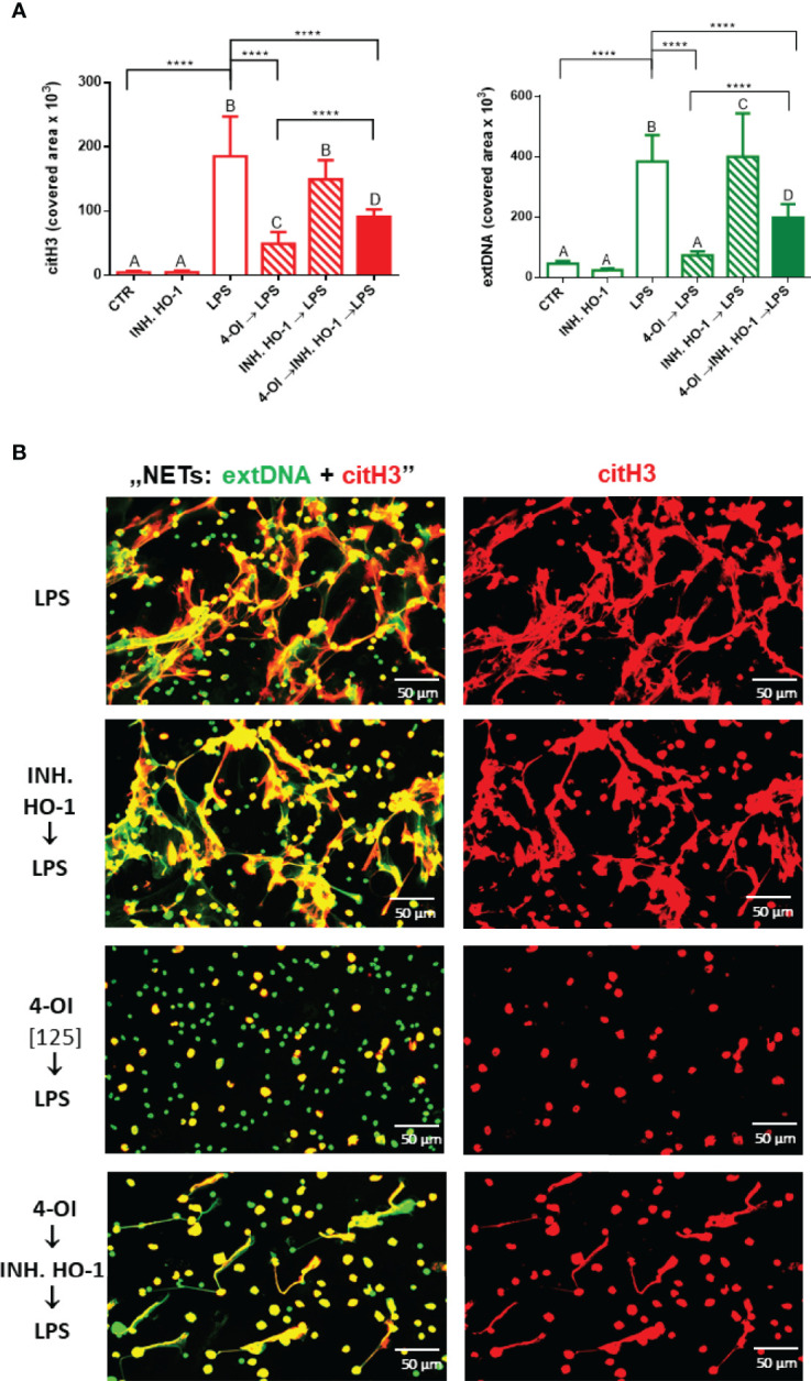 Figure 6