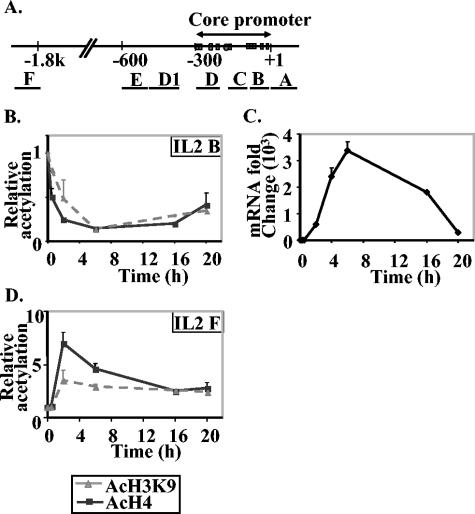 FIG. 1.