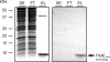 FIG. 6.
