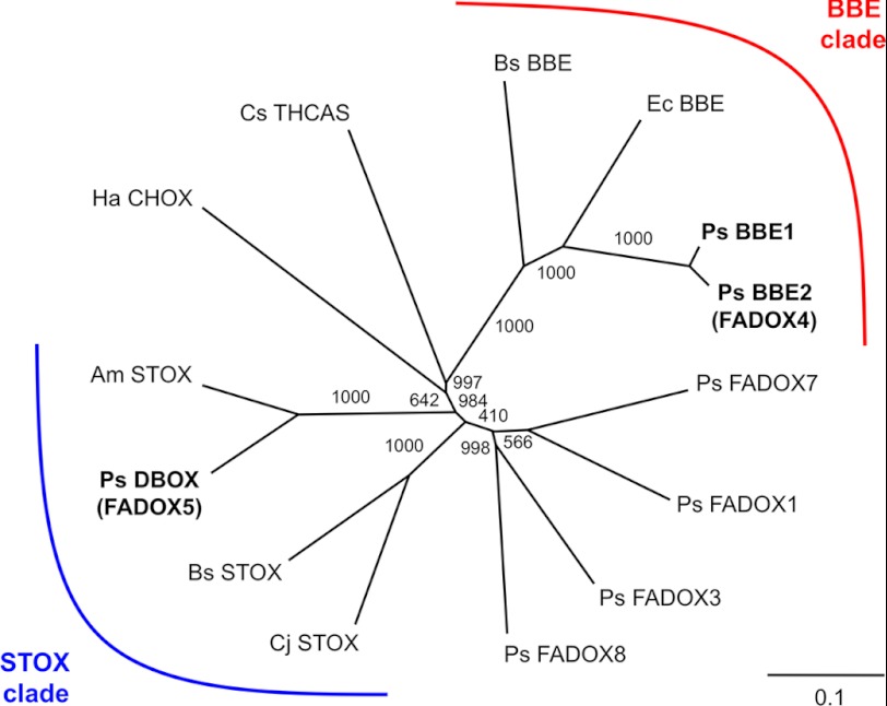 FIGURE 2.