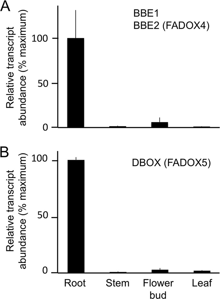 FIGURE 5.