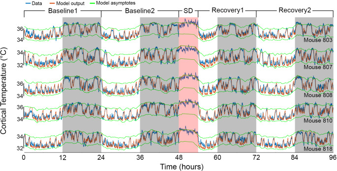 Figure 4—figure supplement 2.